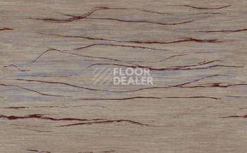 Ковролин Apoluza Wild 01 фото 1 | FLOORDEALER